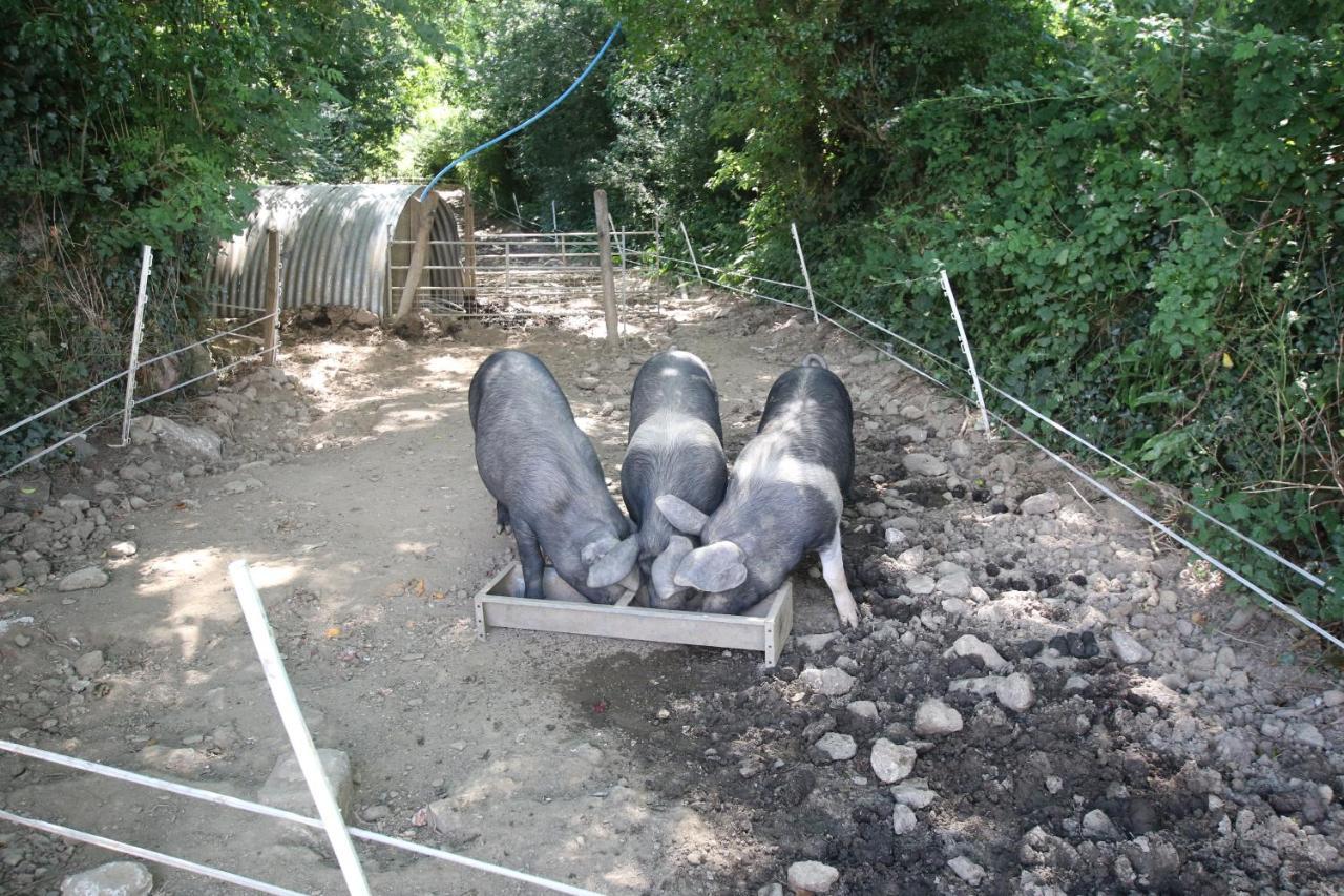 Chy Un Lur Rural Cottage Truro Bagian luar foto